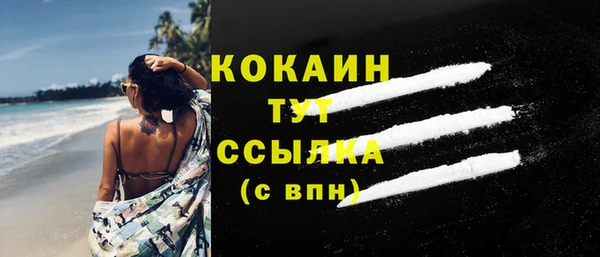 гидра Дмитров