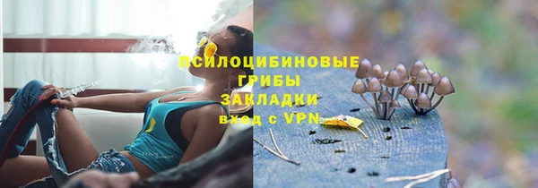 гидра Дмитров