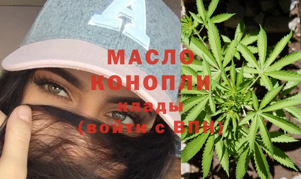 гидра Дмитров