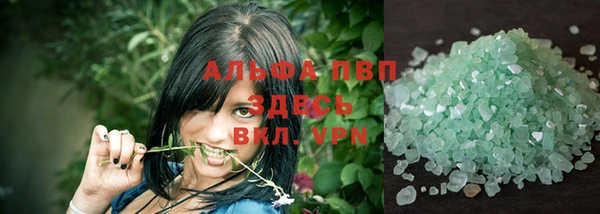 гидра Дмитров